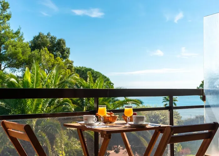 Hôtel accueillant les animaux: Hôtel Bahia