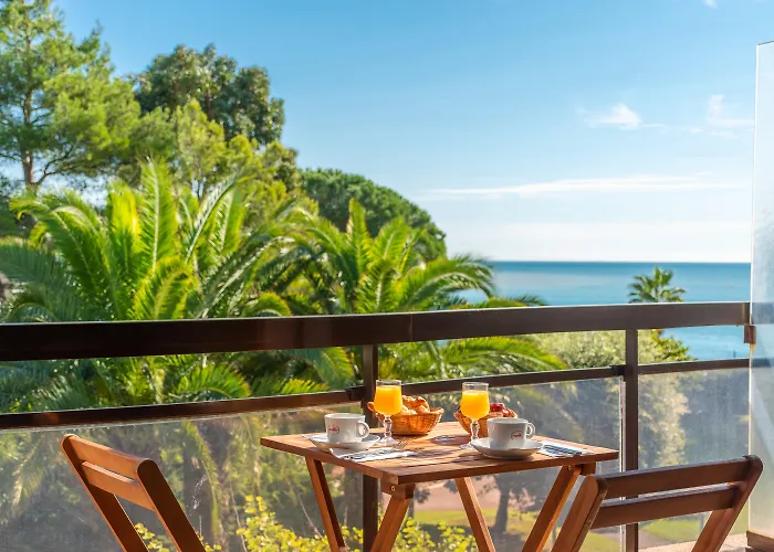 Hôtel accueillant les animaux: Hôtel Bahia